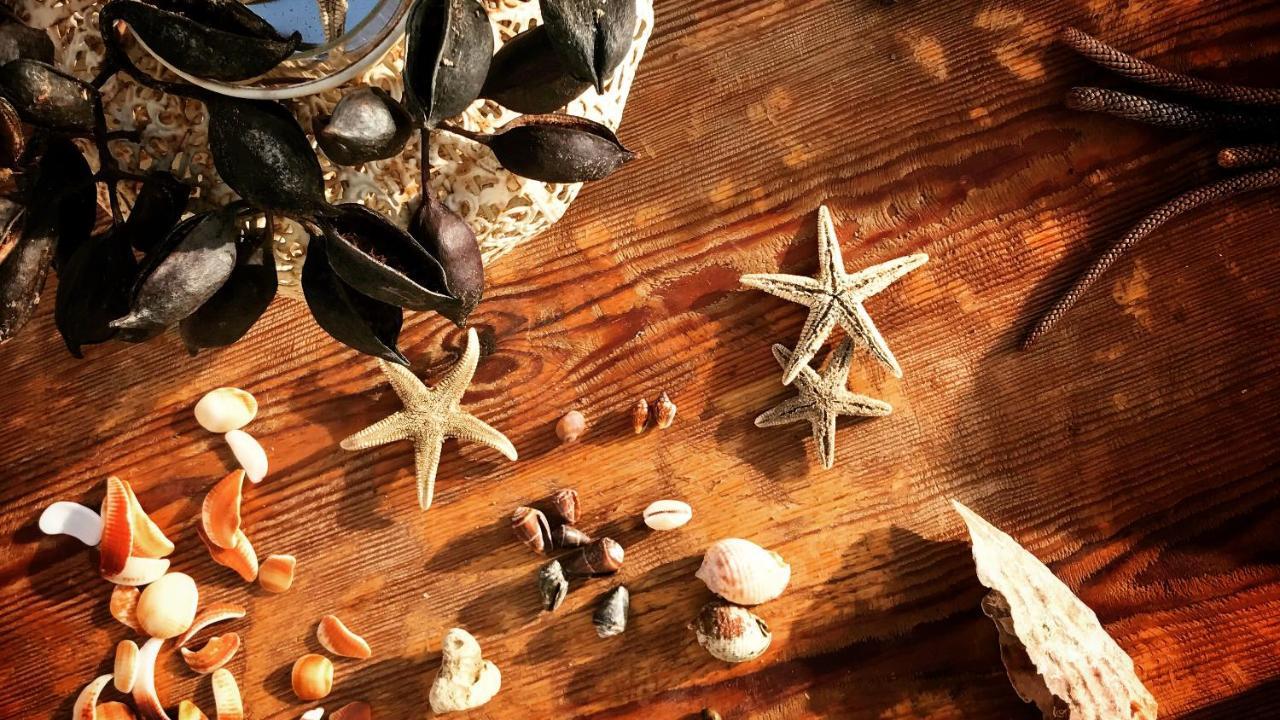 Sally Del Mar - Nudist Naturist Вера Экстерьер фото